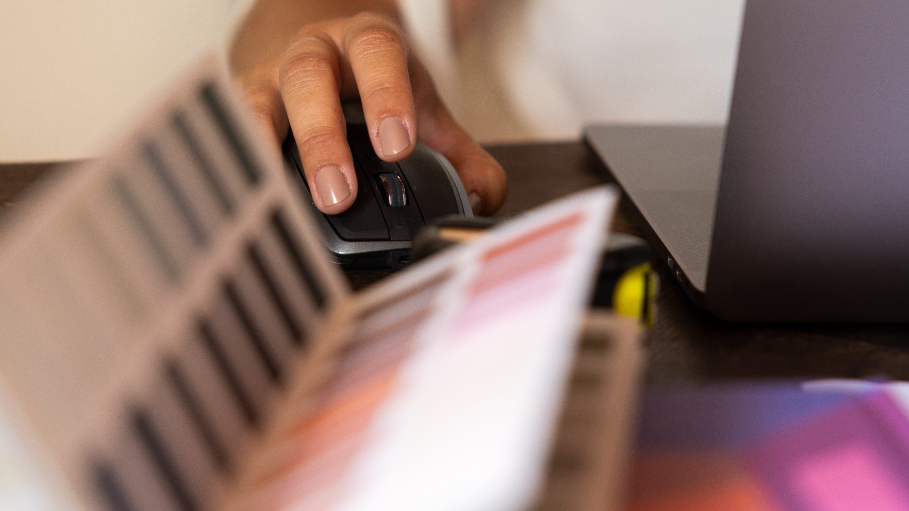 designer cap corse graphiste photographie